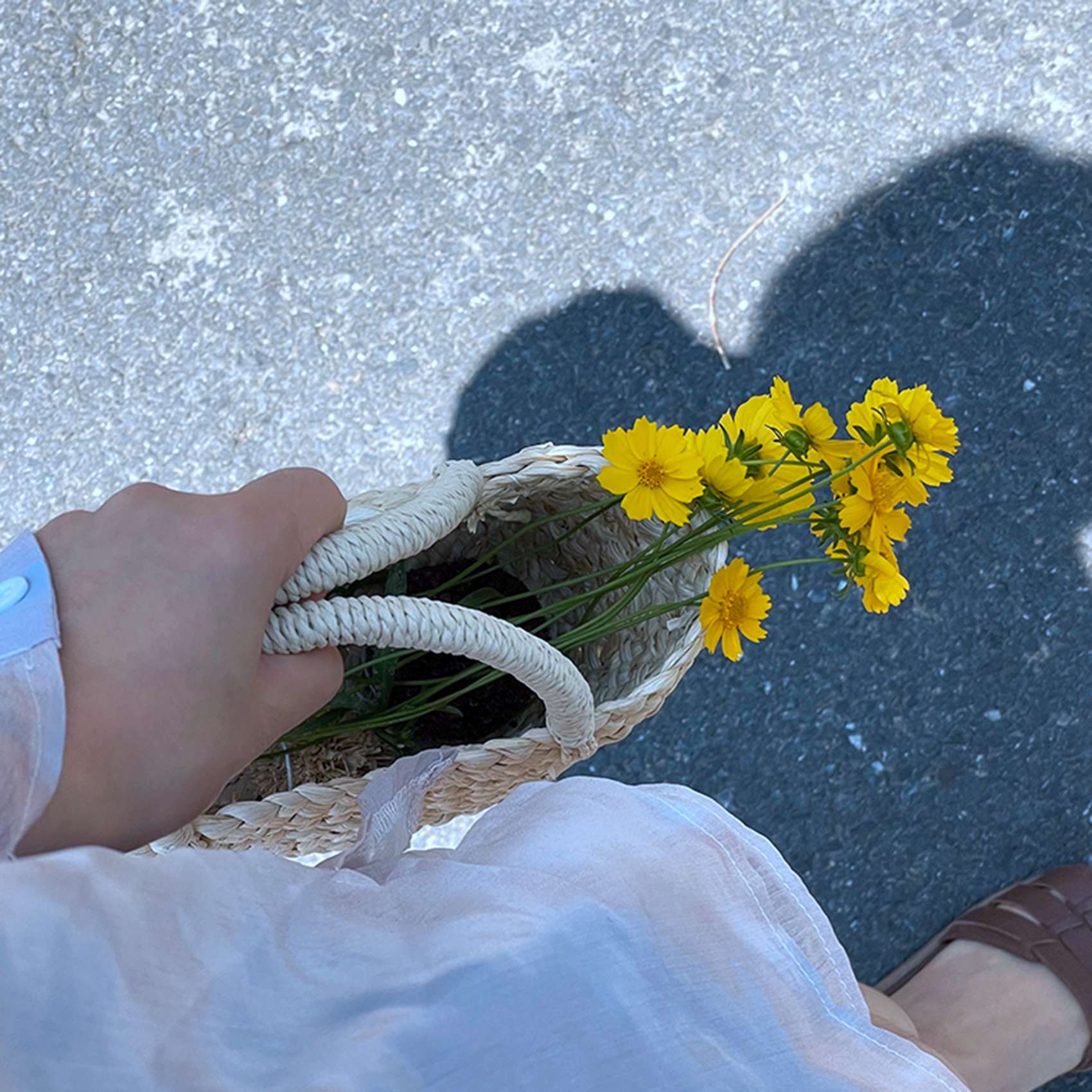 ABQR Summer Handmade Small Wov - огляд і ціна Handbags