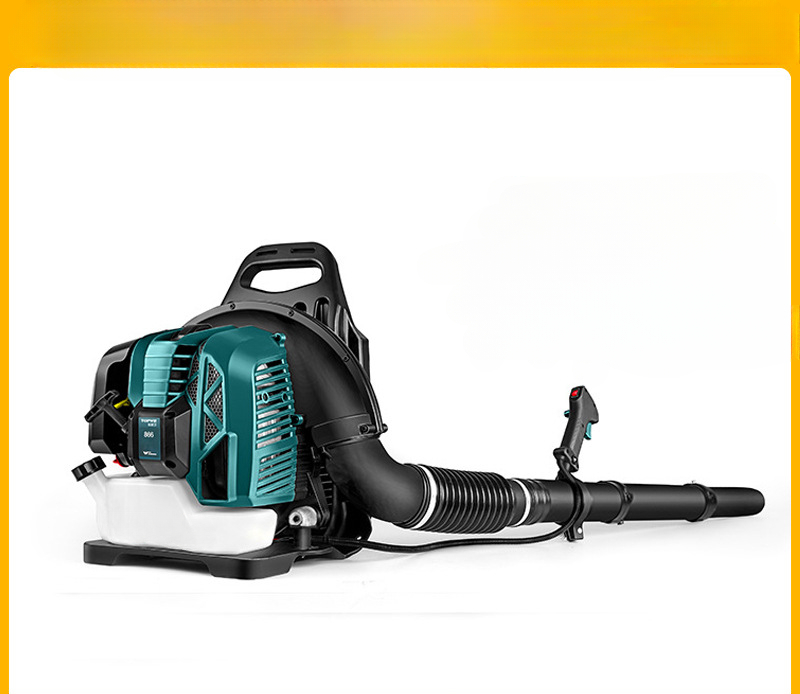 Two-stroke backpack hair dryer - огляд і ціна Backpacks