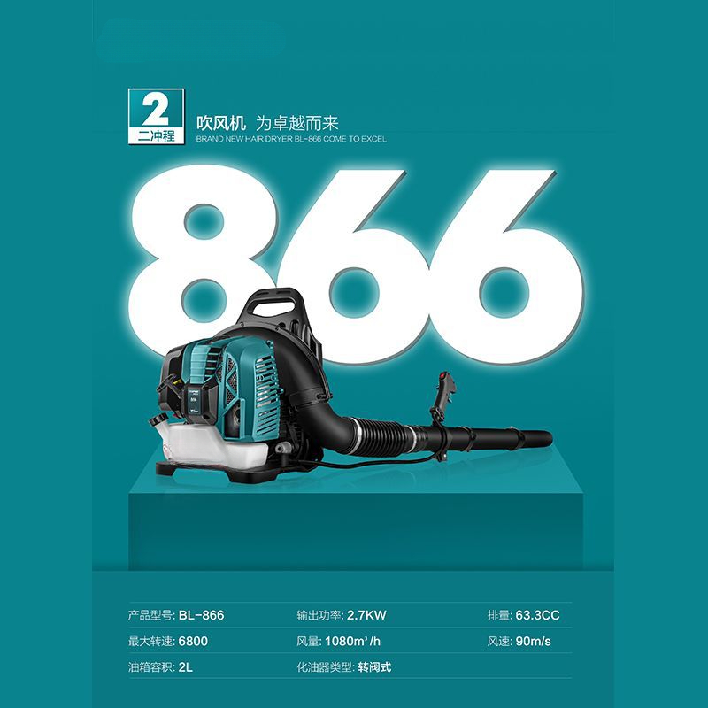 Two-stroke backpack hair dryer - огляд і ціна Backpacks