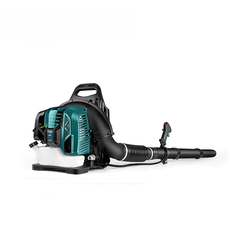 Two-stroke backpack hair dryer - огляд і ціна Backpacks