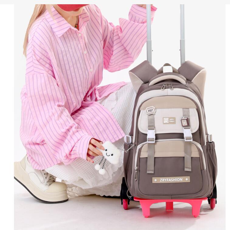 Travel Rolling Luggage backpac - огляд і ціна Foldable Rolling Luggage Bag